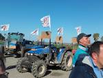 La protesta degli agricoltori lucani e pugliesi (Foto da pagina fb Riscatto)
