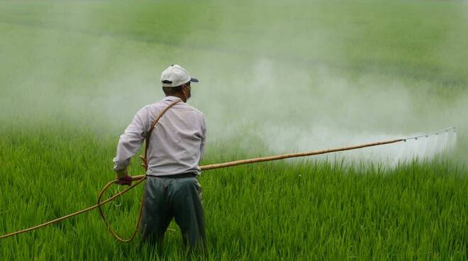 Pesticidi nei campi